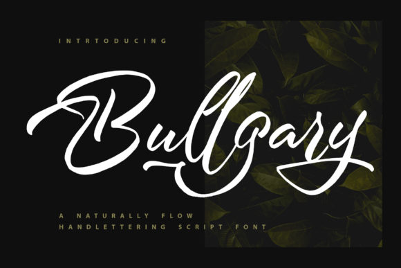 Bullgary Font: Elegant Script for Editorial Design