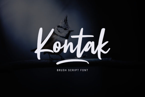Kontak: A Script Font for Web Design