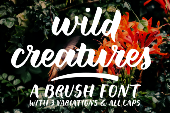 Wild Creatures Font Review